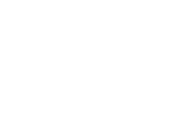 Castaway Adventure logo