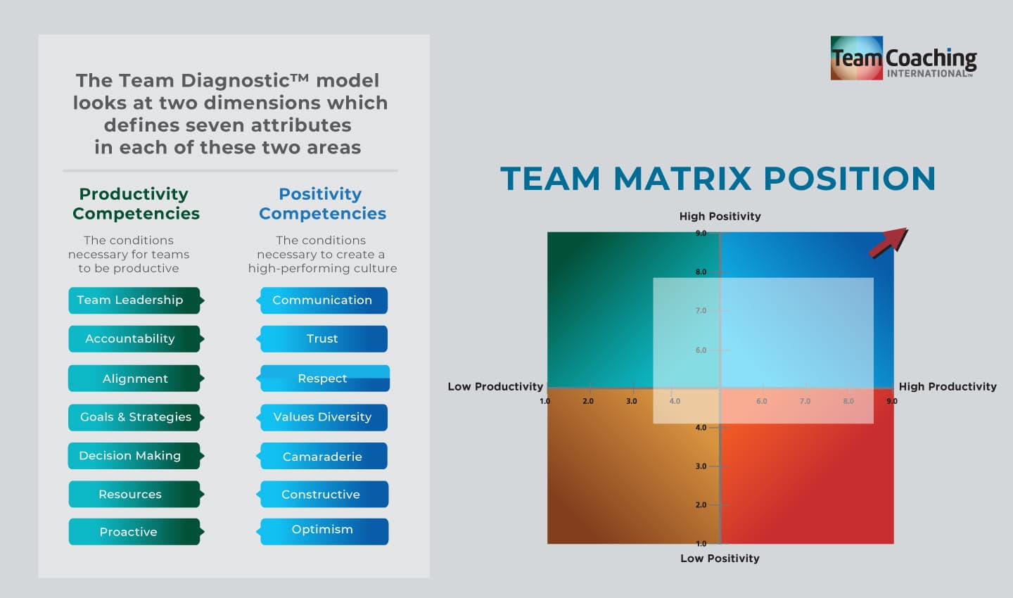 TEAM LEADER VIEW TCI-04.jpg