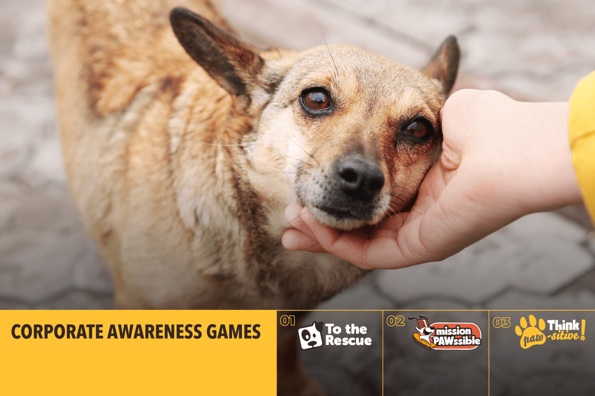 Save a greek stray - Corporate awareness games