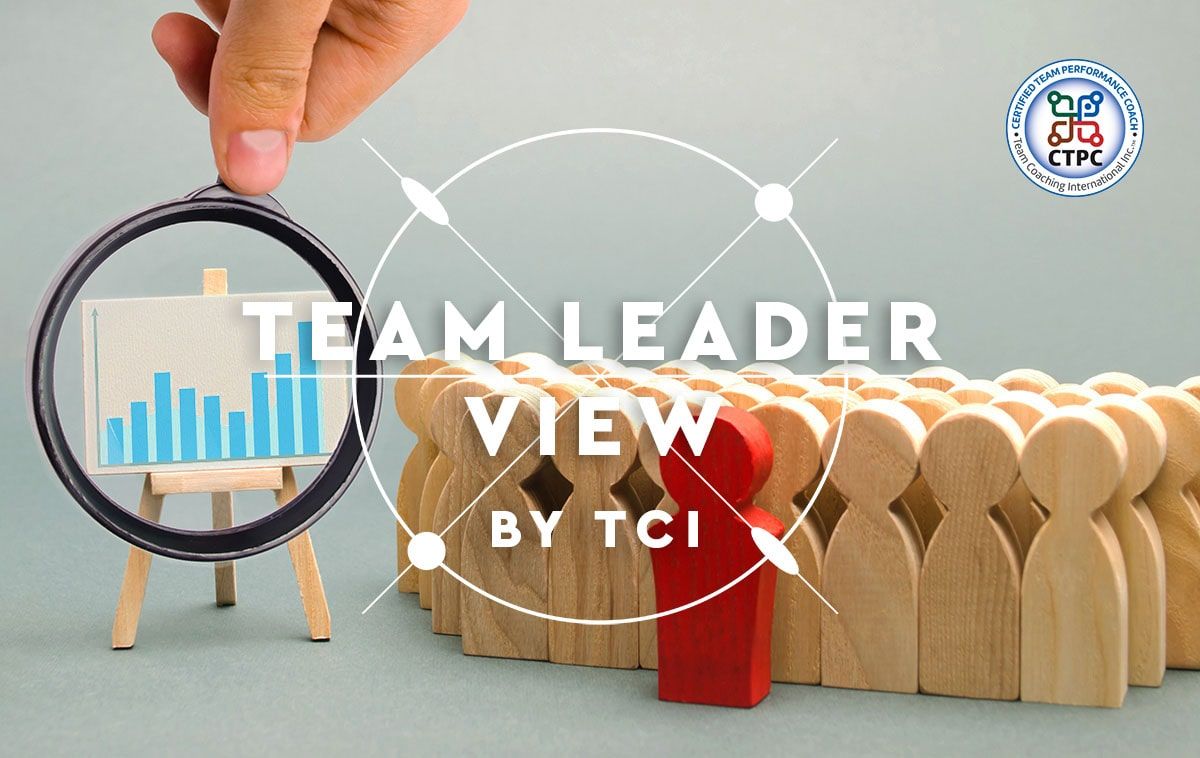 Team Leader View by Team Coaching International (TCI)